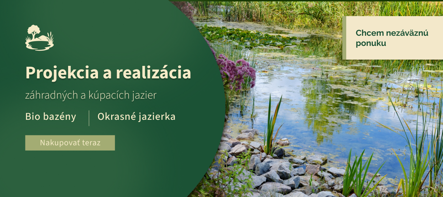 Jazerá