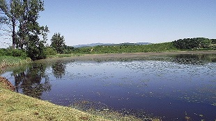 Chovný rybník