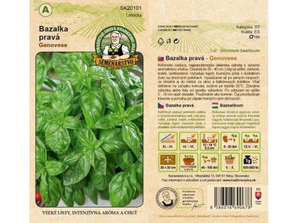 17872 bazalka prava genovese typ a