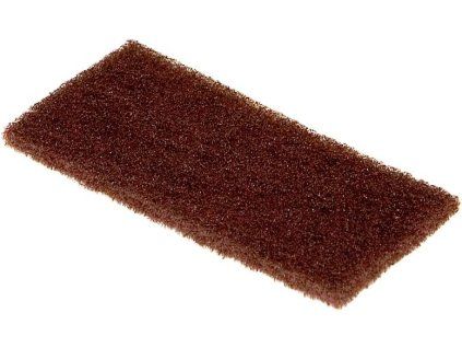 4159 cistiaca spongia