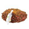 24739 cibula sadzacka karmen 8 16 250 g
