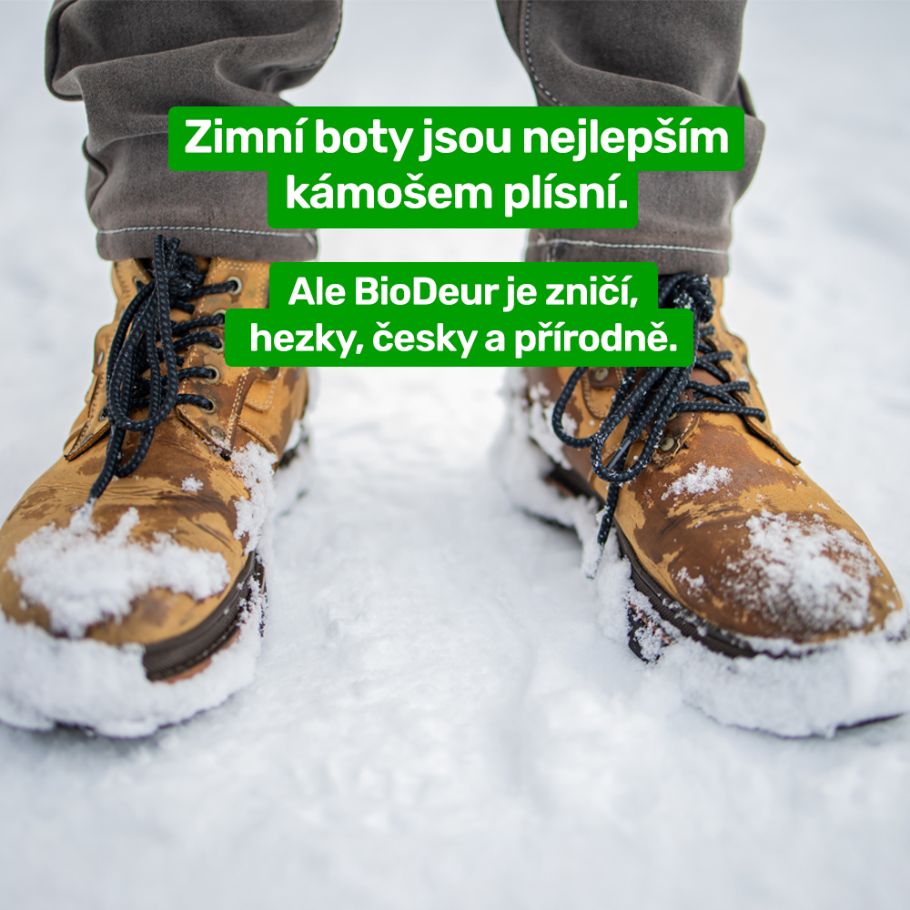 Podzim přináší vlhko a plísně. Pomoci může přírodní přípravek Biorepel