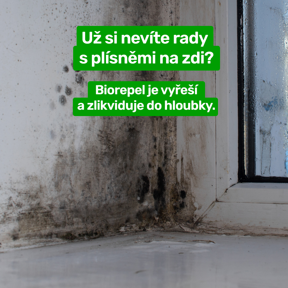 Jak mě Biorepel zachránil před plísní i před stěhováním?