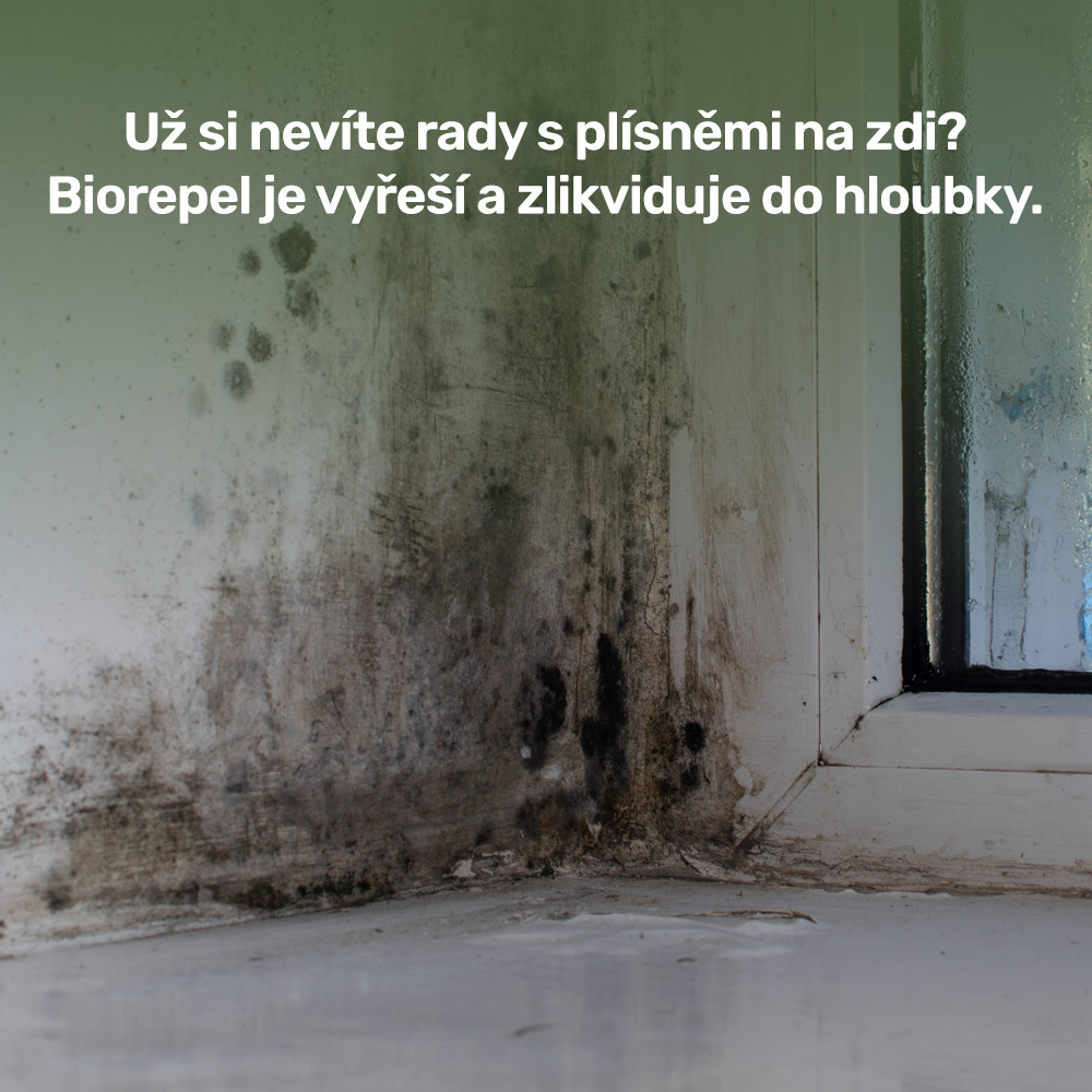 Jak mě Biorepel zachránil před plísní i před stěhováním?