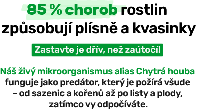 85 % chorob rostlin MOBIL