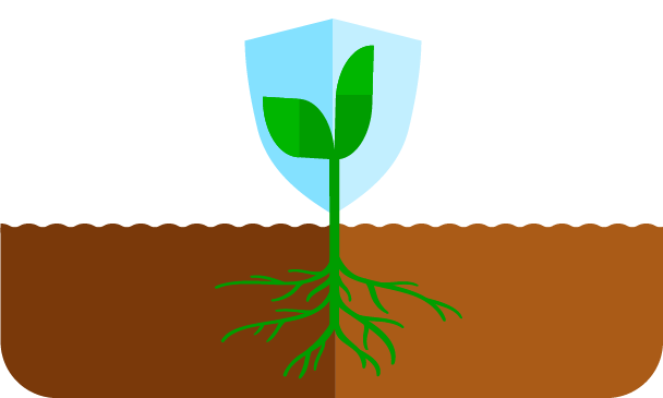 Indukovaná rezistance