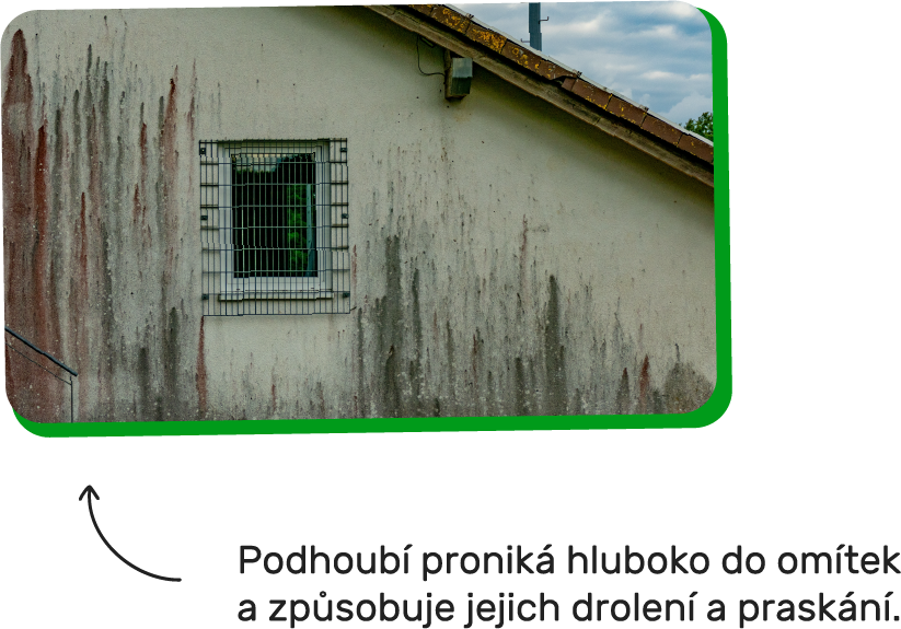 Znehodnocení obrázek