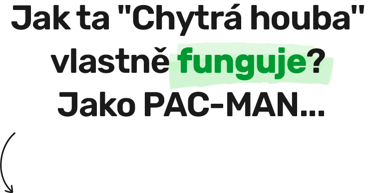 Jak to funguje