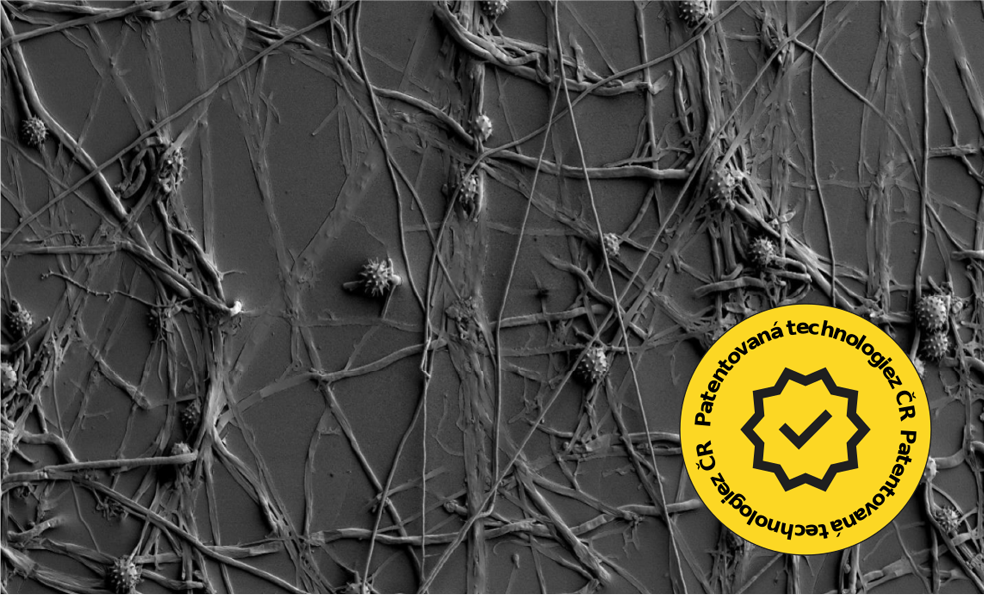 Chytrá houba v praxi - Pythium