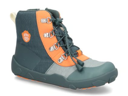 Snímek obrazovky 2025 11 13 172346