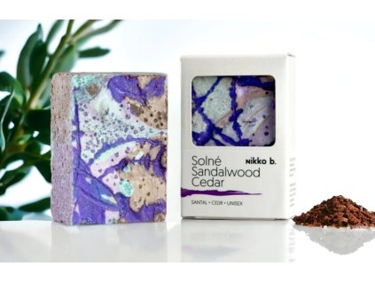 Snímek obrazovky 2025 06 02 092614