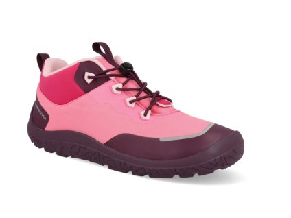 Snímek obrazovky 2025 11 12 111019