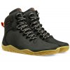 tracker II OBS predek