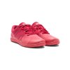 HSW RPSC HFS II Raspberry Sunset Coral Gradient Angle Pair 8212 WEB