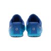 HSM IOQI HFS II Blue Iolite Aquarius Gradient Back Pair 2056 WEB