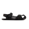 Fly black 1