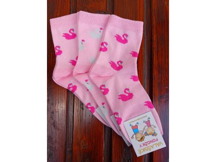 279622906 337593891693828 8024639848061757964 n