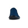 leguano scio blue 05