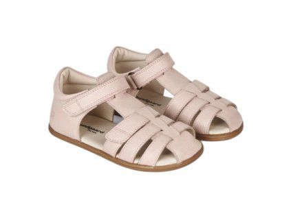 Photoroom 20260324 120800