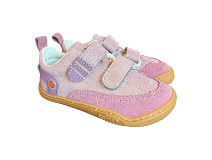 Photoroom 20260319 114610