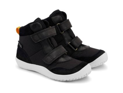 e0b3673d 1946 4189 ab02 5854264d50b2