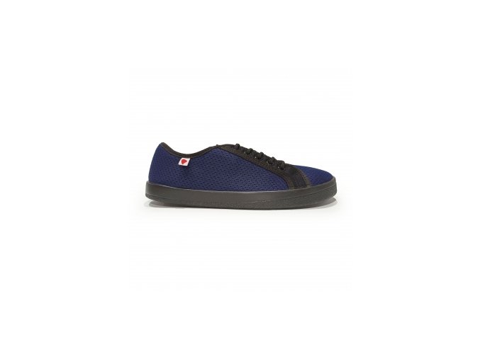gen vyr 224 AM10