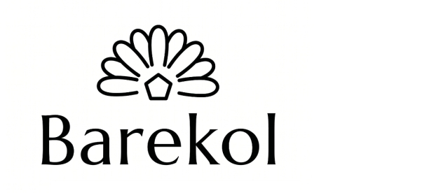 www.barekol.cz