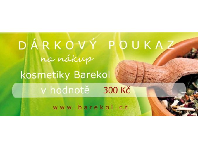dárkový poukaz 300