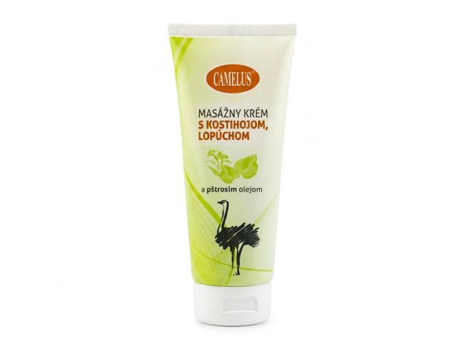 Camelus kostival