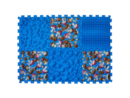11429 1 500x500