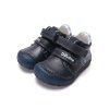 S073 62313A Royal Blue 06