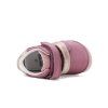 S070 62659B Raspberry 04
