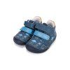 S070 62594B Royal Blue 06