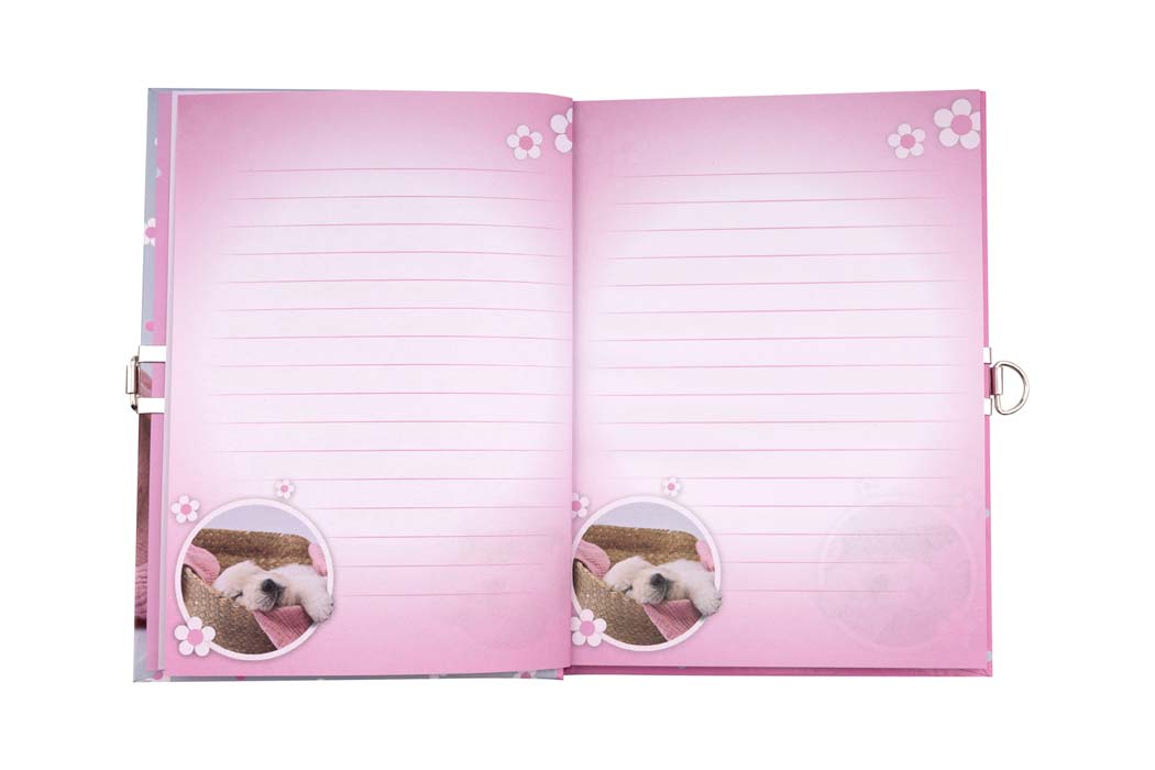 Zápisník se zámkem - detail