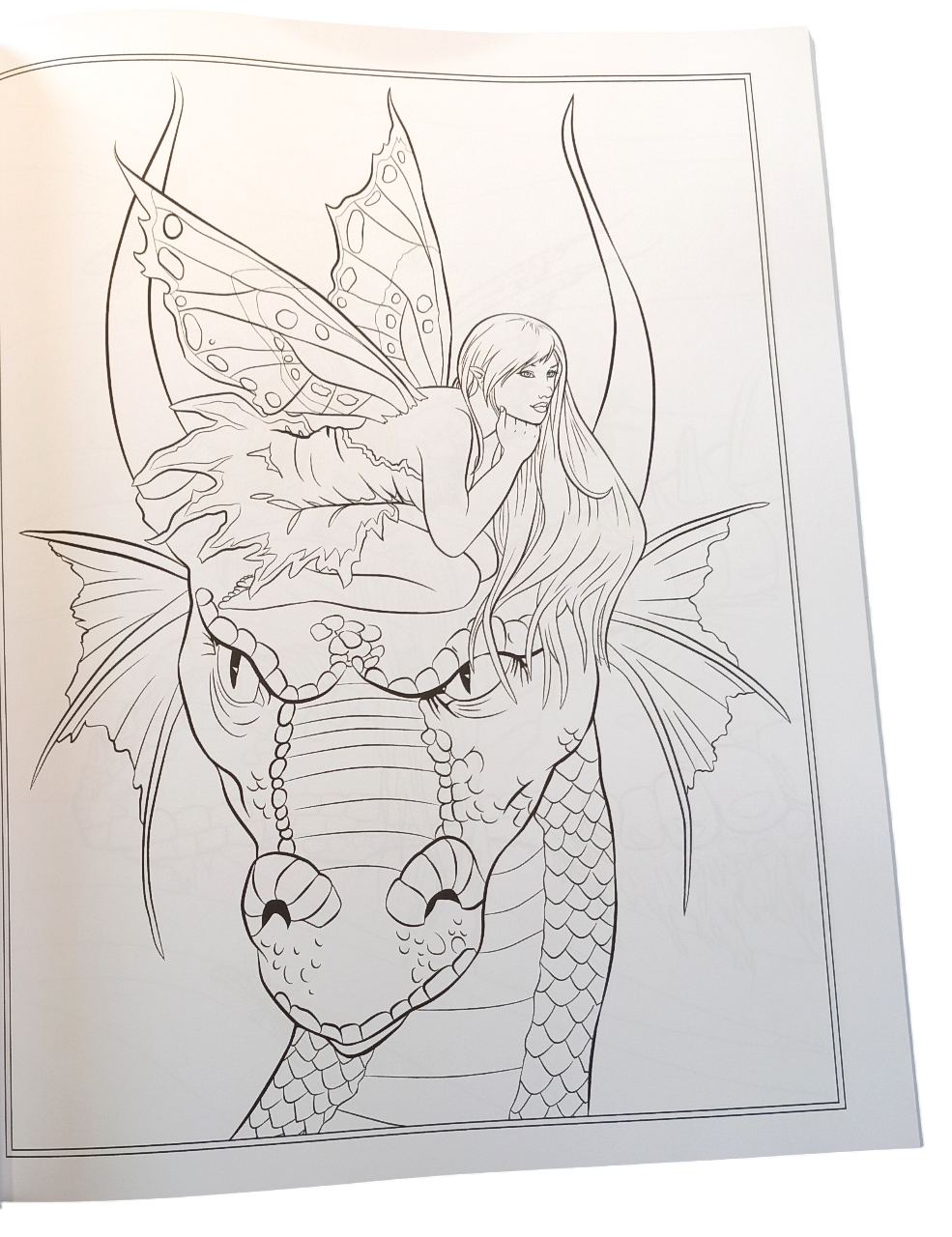 Víla a Drak - Fairy Companions Colouring Book