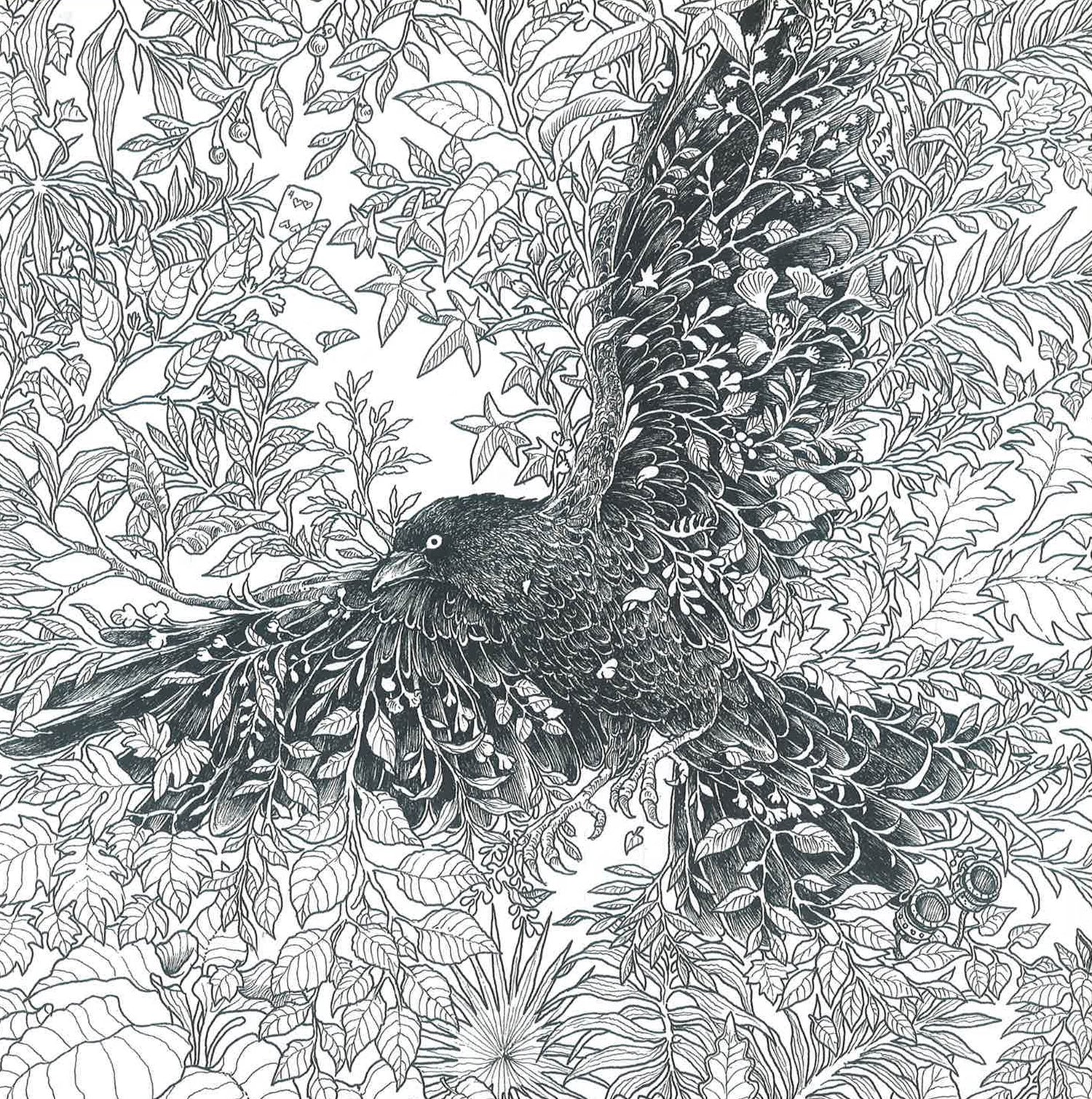 Ilustrace Wondermorphia
