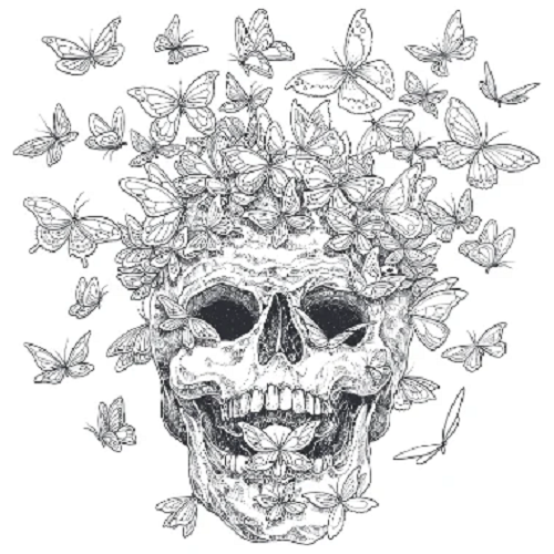 Ilustrace Wondermorphia