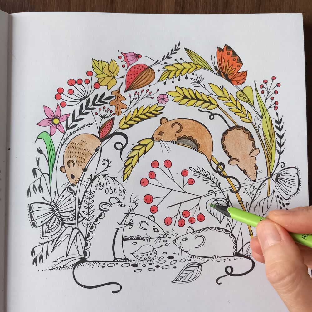 Mein Herbstspaziergang - Podzimní omalovánky