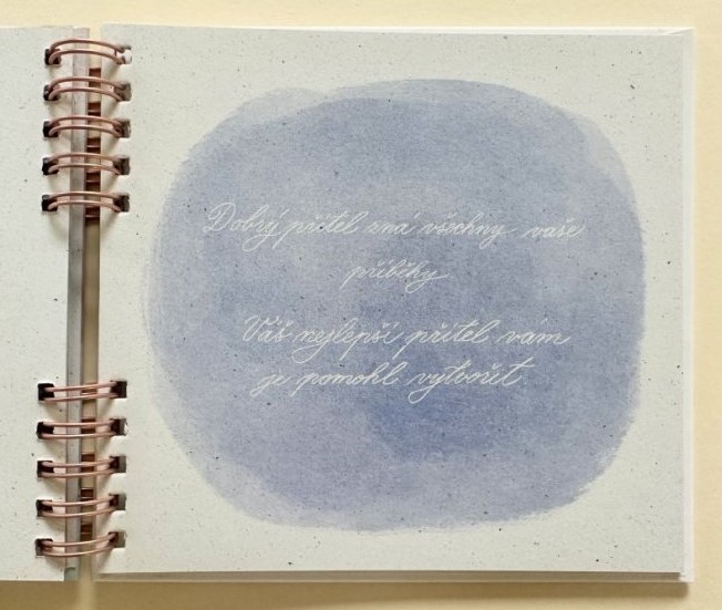 Knížka mé kamarádce Be Nice