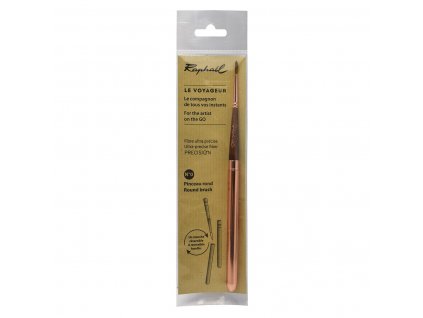 Cestovní štětec Raphael Precision 0