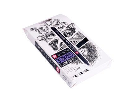 Sada Pigma Micron Black technické fixy (3 linery + pouzdro)