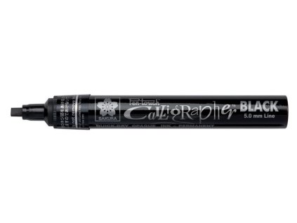 Pen Touch černý
