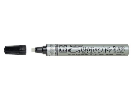 Pen Touch stříbrná3
