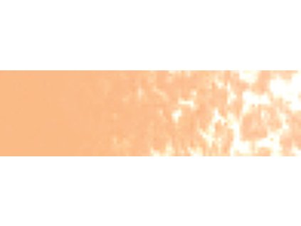 005 Medium Flesh