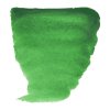 27981 akvarelova barva v tube van gogh 10 ml 662 permanent green