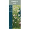 Simply-T Skicák pro akvarel v lepené vazbě 10x25 cm FG, 300g, 10 listů
