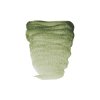 Green Earth 629 1