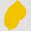 271 Cadmium Yellow Medium 1