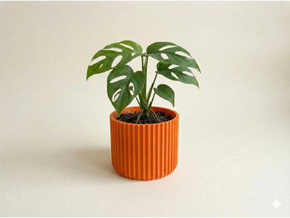 Gemini Generated Image fm8cxrfm8cxrfm8c