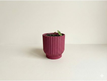 Gemini Generated Image z05gdoz05gdoz05g